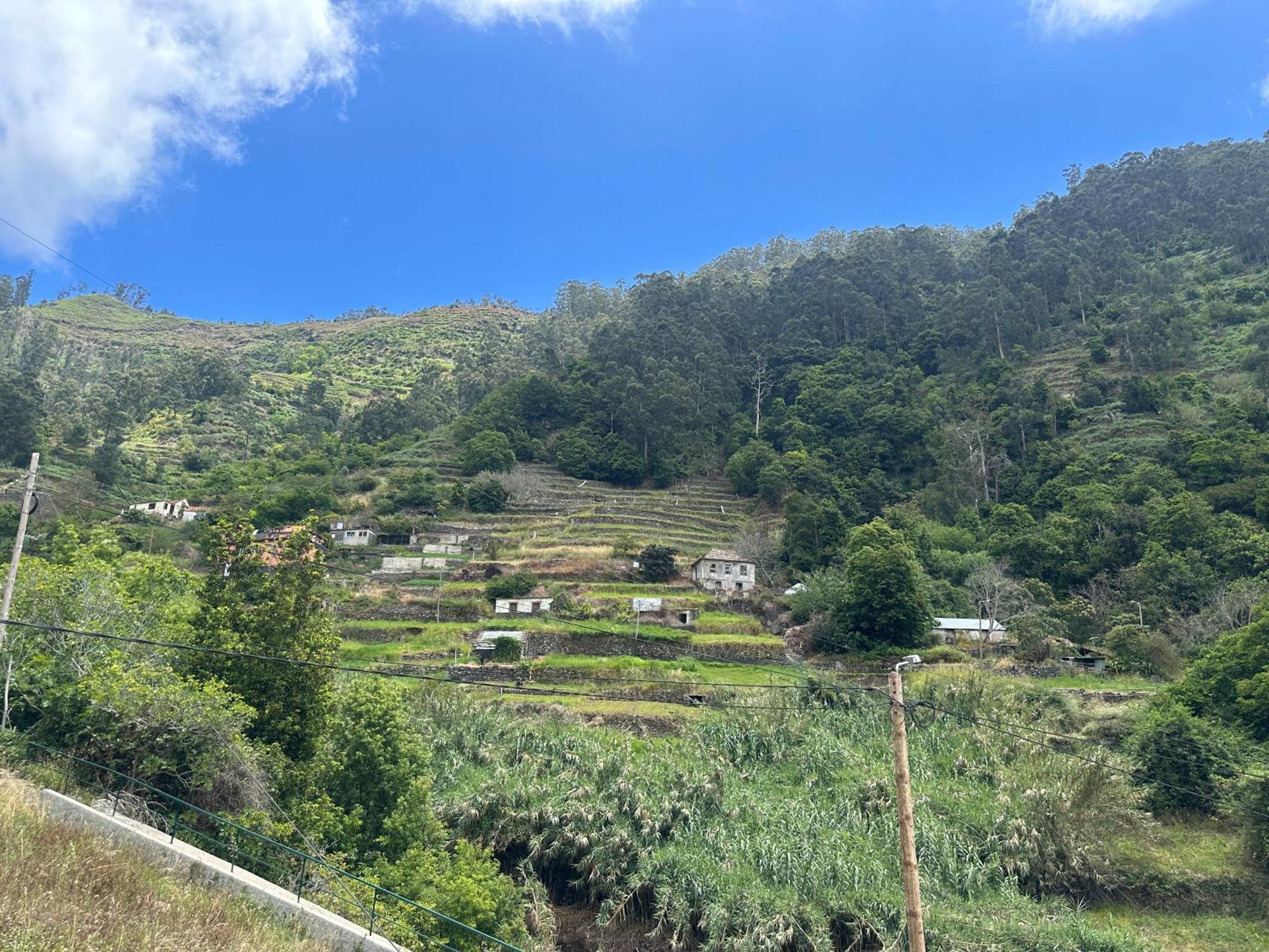 Casa Rosa Villa Ribeira Brava Eksteriør billede