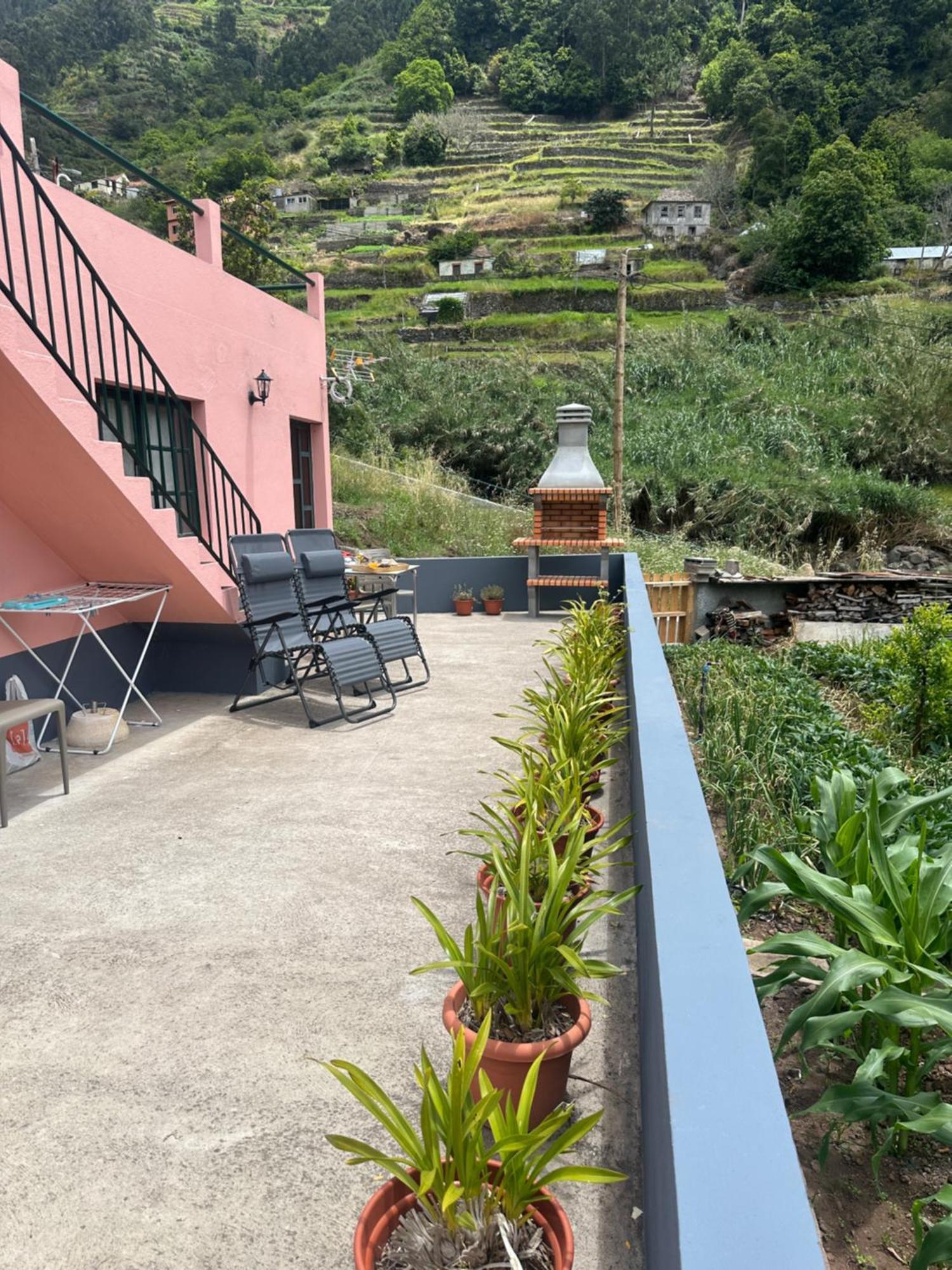 Casa Rosa Villa Ribeira Brava Eksteriør billede